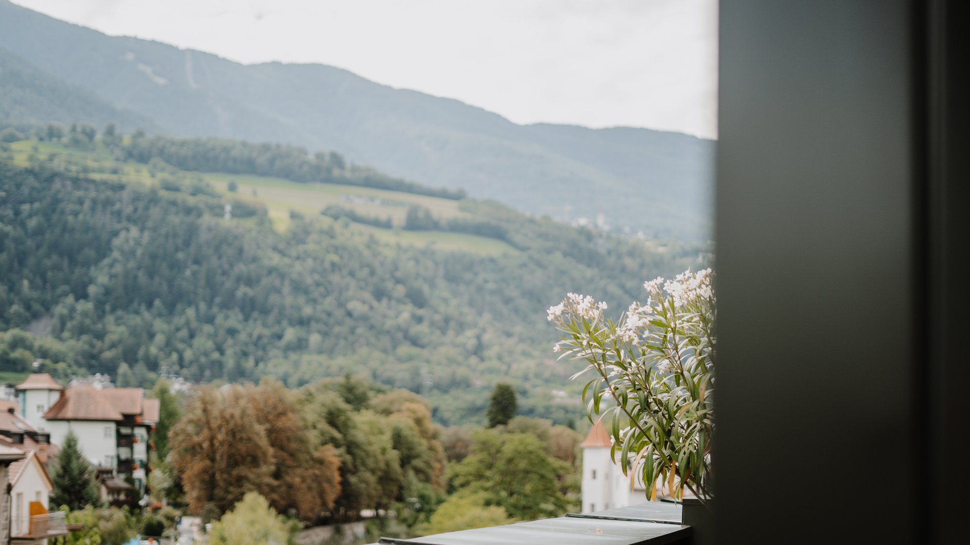 Vista di montagne, foresta e case da un balcone con fiori bianchi